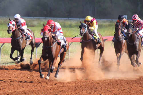 FAST TRACK: Punters got in their best bet at the Bluff races at the weekend. sw-280211-034 FAST TRACK: Punters got in their best bet at the Bluff races at the weekend. sw-280211-034
